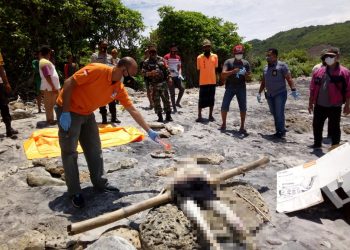 Sesosok Mayat Tanpa Identitas Ditemukan di Pantai Sekotong