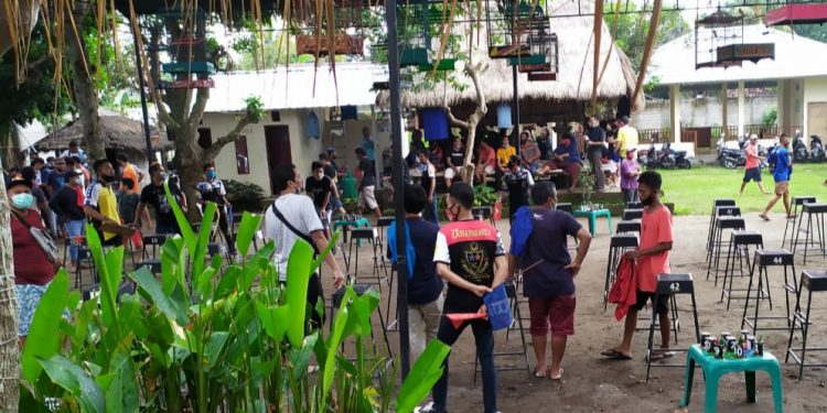 Tak Berizin, Polisi Bubarkan Lomba Kicau Burung di Mataram