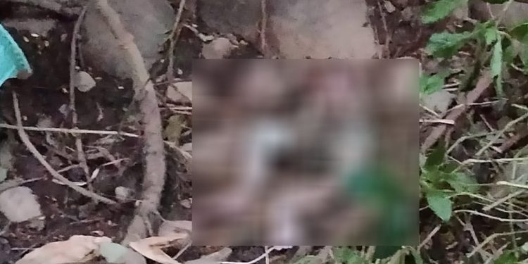 Orok Bayi Ditemukan Membusuk Ditepi Sungai