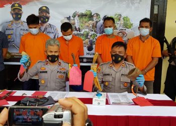 Polisi Ringkus Empat Sindikat Pencurian Ternak Bersenjata Api