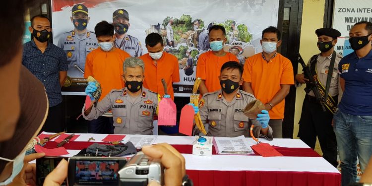 Polisi Ringkus Empat Sindikat Pencurian Ternak Bersenjata Api