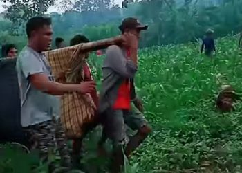 Tewas Tersetrum di Lahan Jagung, Mayat Pemuda ini Dibuang di Semak-semak