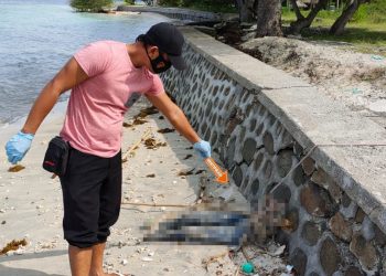 Mayat Tanpa Identitas Gegerkan Warga Sekotong