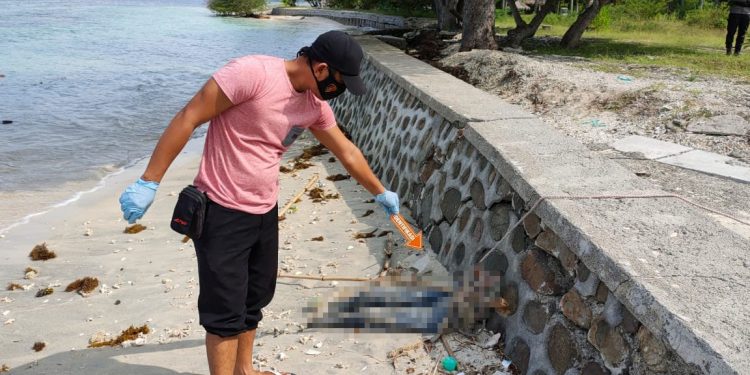 Mayat Tanpa Identitas Gegerkan Warga Sekotong