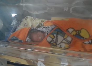 Bayi Baru Lahir Dibuang, Ditemukan Terbungkus Kain Hitam Dalam Kardus