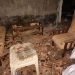 Dituduh Dukun Santet, Rumah Pria Paruh Baya di Kota Bima Dirusak Massa