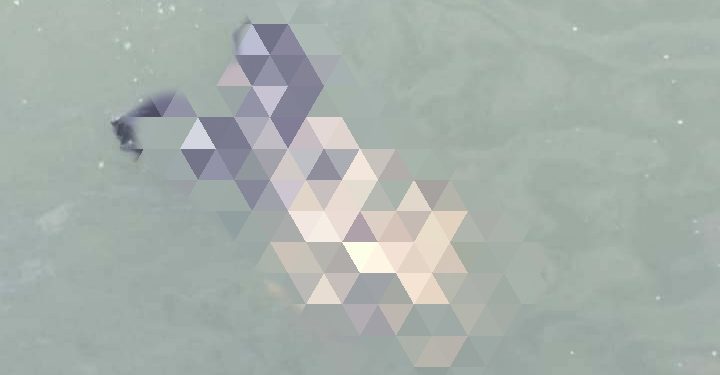 Mayat Pria Tanpa Identitas Ditemukan Mengapung di Perairan Sape