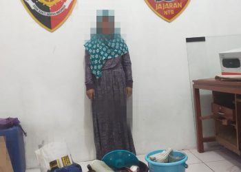 Tidak Kapok Dipenjara, Wanita Residivis ini Ditangkap Usai Bobol Rumah Warga