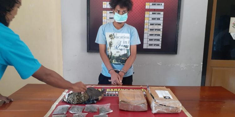 Polisi Sita Setengah Kilo Gram Ganja Dari Seorang Pengedar di Kota Bima