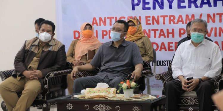 Gubernur NTB Dorong Kabupaten/Kota Bangun TechnoPark, Dukung Industrialisasi