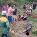 Gegara Masalah Rumput, Pria ini Tewas Dibacok Tetangga