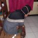 Wanita ini Kepergok Ngamar Dengan Pria Lain Saat Suaminya Sedang Kerja