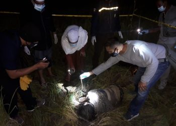 Mayat Nenek ini Ditemukan Tergeletak di Tengah Sawah, Wajahnya Berlumuran Darah
