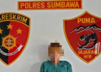Curi Motor Lalu Digadai, Wanita ini Diringkus Polisi