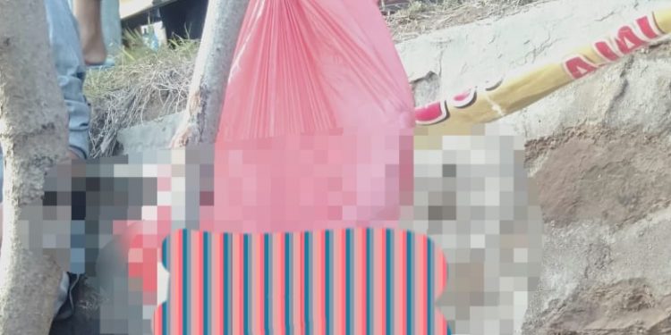 Tragis! Mayat Bayi Terbungkus Plastik, Ditemukan Tergantung Dipohon
