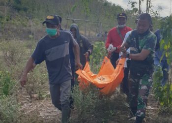 Empat Penambang Emas Tewas di Kedalaman 17 Meter