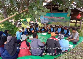 Tingkatkan Kapasitas Petani, Distanbun Gencar Gelar Sekolah Lapang