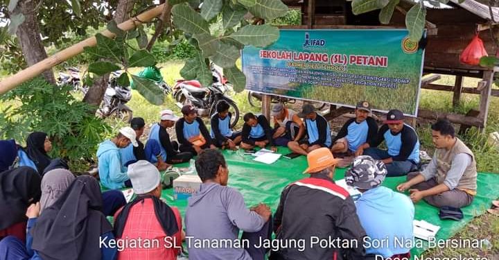 Tingkatkan Kapasitas Petani, Distanbun Gencar Gelar Sekolah Lapang