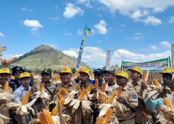 Panen Raya Jagung Pola Kemitraan, Wabup Dompu : Terima Kasih PT. Bisi