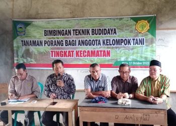 Ini Progres, Masalah dan Solusi Pengembangan Padi, Jagung dan Porang