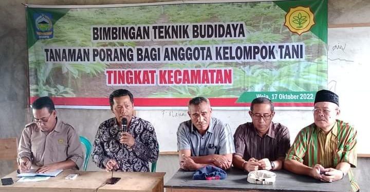Ini Progres, Masalah dan Solusi Pengembangan Padi, Jagung dan Porang