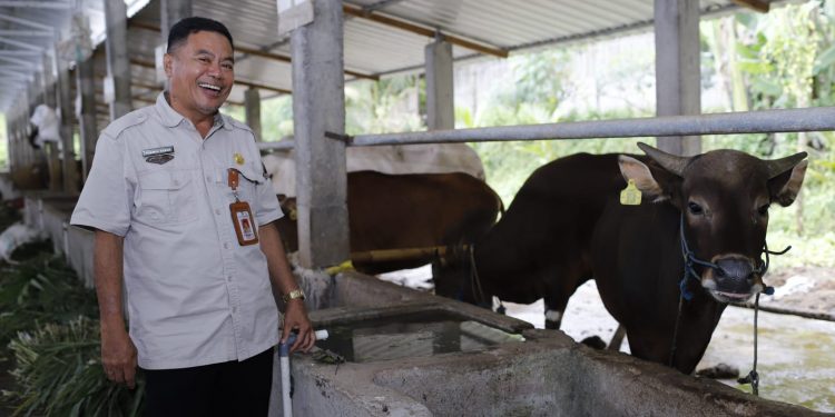 Pemprov NTB Bersama Komisi lV DPR RI Tinjau Desa Korporasi Sapi