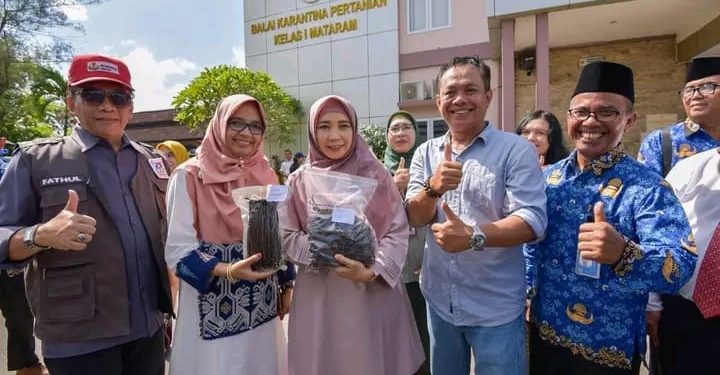 Ekspor Vanili Organik ke AS, Bukti Semangat Petani NTB Jaga Kualias Produksi