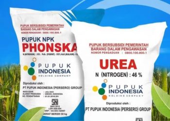 Dompu Dapat Tambahan Kuota Pupuk Subsidi Jenis Urea Jadi 32 Ribu Ton