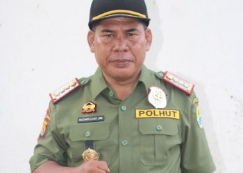 Jaga Keberlanjutan Hutan Lindung, BKPH Wilayah VII Perkuat Kolaborasi dengan PT STM