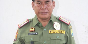 Jaga Keberlanjutan Hutan Lindung, BKPH Wilayah VII Perkuat Kolaborasi dengan PT STM