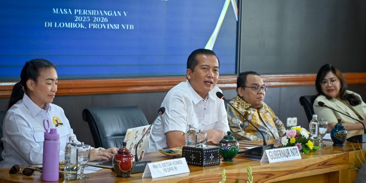 Dari Hilirisasi hingga Gili Tramena, Gubernur NTB dan Komisi VII Perkuat Transformasi Ekonomi NTB